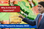 CCB $7787 Payment In January 2025: Child Benefit Arrives This Week