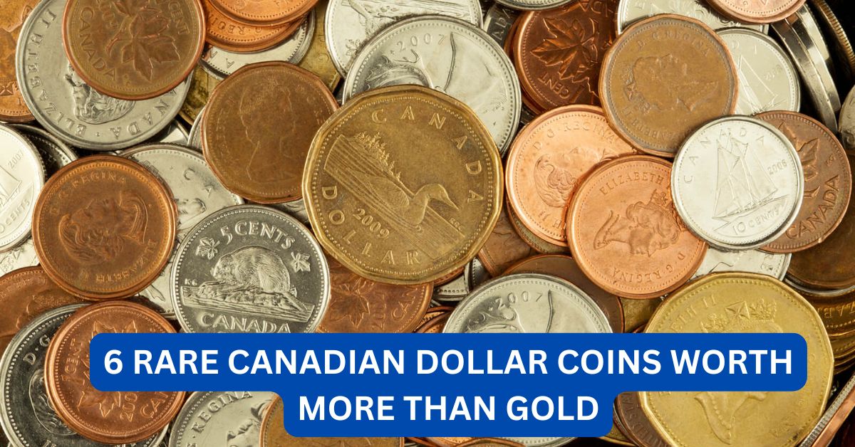 6 Rare Canadian Dollar Coins Worth More Than Gold