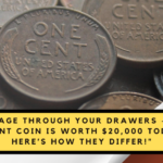 Rummage Through Your Drawers – This 1-Cent Coin Is Worth $20,000 Today: Here’s How They Differ!"