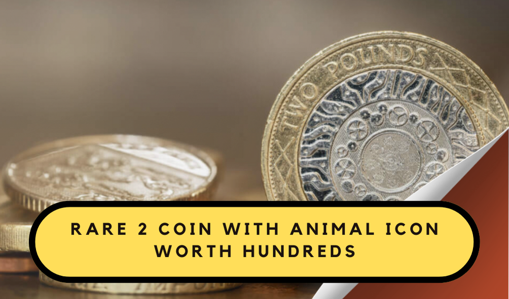 Rare £2 Coin Featuring Unique Animal Design Could Fetch Hundreds – How to Identify It